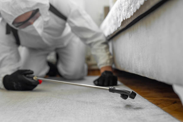 Professional Bed Bug Control technician working in Ness County County, KS